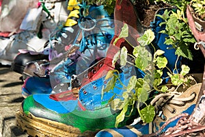 Upcycled outdoor walking boots transformed into vibrant flower pots, adding a unique touch to the RHS Gardens in Harrogate,