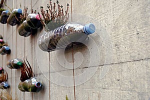 Upcycled plastic bottles with colorful caps transformed into do it yourself or hand made vertical garden photo