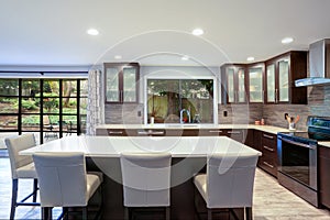 Updated contemporary kitchen room interior in white and brown tones.