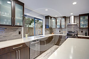 Updated contemporary kitchen room interior in white and dark tones.