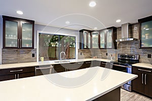 Updated contemporary kitchen room interior in white and dark tones. photo