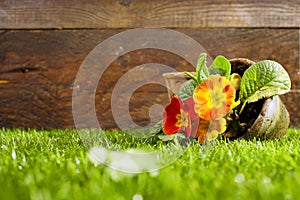 Upended flower pot and flowers