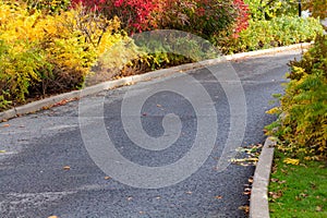 An Uphill Bend in the Roadway