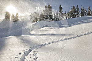 Uphill ski track on a windy day in the Tetons.