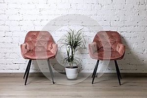 Upholstered pink chairs and palm plant by white brick wall. minimalism interior