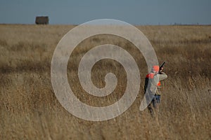 Upland Bird Hunter