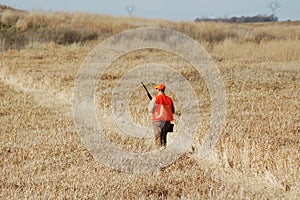 Upland Bird Hunter