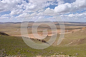 Upland grassland