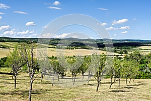 The uplands of Balaton 1