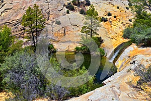 Upper Calf Creek Falls desert oasis waterfall views in Grand Staircase-Escalante National Monument by Boulder and Escalante in Sou