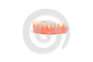 Upper dentures on white background