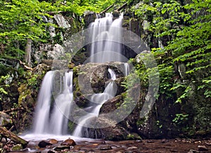 Upper Doyles River Falls in Shenandoah National Park photo