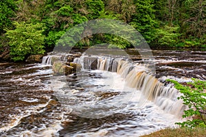 Upper Falls at Aysgarth
