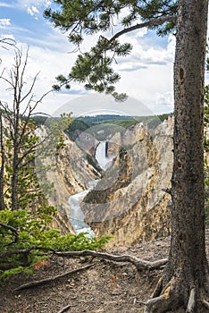 Upper falls on the day in yellow stone Yellowstone National park,Wyoming.usa