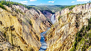 The Upper Falls and the Yellowstone River in the Grand Canyon of the Yellowstone