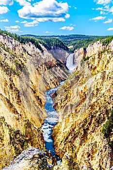 The Upper Falls and the Yellowstone River in the Grand Canyon of the Yellowstone