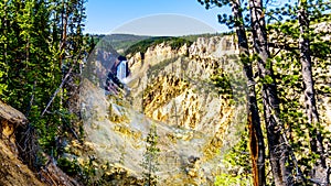 The Upper Falls and the Yellowstone River in the Grand Canyon of the Yellowstone