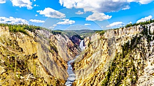 The Upper Falls of the Yellowstone River in the Grand Canyon of the Yellowstone