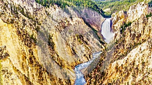 The Upper Falls of the Yellowstone River in the Grand Canyon of the Yellowstone