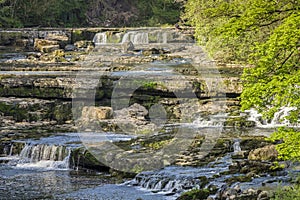 Upper Force, Aysgarth Falls, North Yorkshire