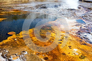 Upper Geyser Basin Bacteria Mat photo