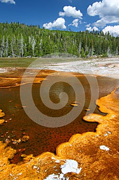 Upper Geyser Basin of Yellowstone photo