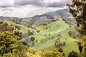 Upper Hunter Valley, NWS, Australia