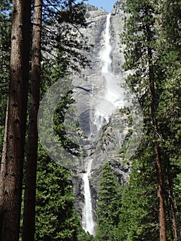 Upper and Lower Yosemite Falls Portrait, Yosemite National Park