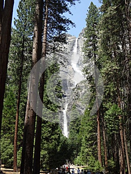 Upper and Lower Yosemite Falls, Yosemite National Park, California