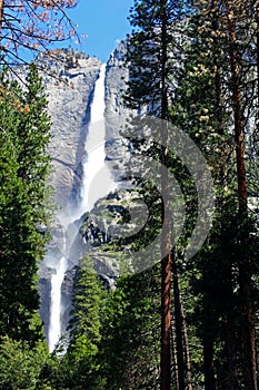 Upper and Lower Yosemite Falls, Yosemite, Yosemite National Park