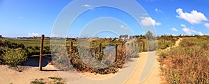 Upper Newport Bay Nature Preserve hiking trail winds along the m