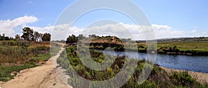 Upper Newport Bay Nature Preserve hiking trail winds along the m