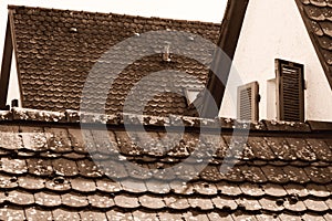 Upper part of the old tiled roof full of lichen with further building parts behind it  2