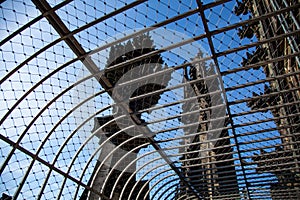 The upper part of the tower of Cologne Cathedral, observation deck