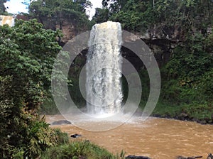 The upper part of the waterfall in the jungles of Argentina