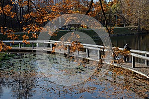 Upper pond with wooden bridge of cascade of ponds in natural historical, architectural and recreational complex `Vorontsovo Estate