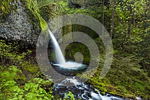 Upper ponytail falls in Columbia river gorge, Oregon