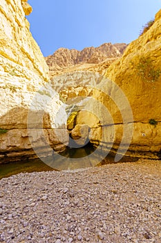 Upper pools, Arugot stream, Ein Gedi Nature Reserve