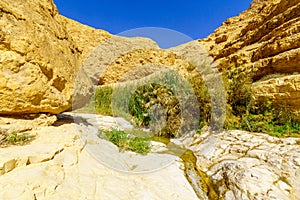 Upper pools, Arugot stream, Ein Gedi Nature Reserve