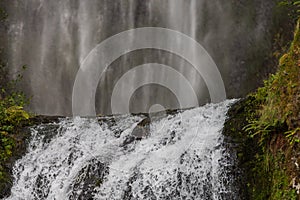 Upper portion of the lower tier of Multnomah waterfall located at Multnomah Creek in the Columbia River Gorge, Oregon