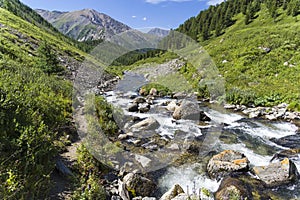 Upper reaches of a mountain river. Altai Mountains, Siberia, Russia.