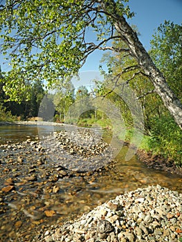 Upper reaches of pechora