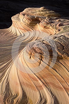 Upper Second Wave North Coyote Buttes Arizona in the Paria Canyon-Vermilion Cliffs Wilderness of the Colorado Plateau America