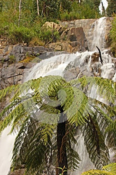 Upper Stevenson Falls Marysville Victoria Natural Waterfalls