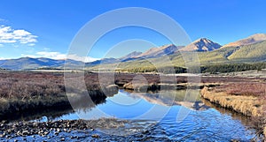 Upper Taylor River in the Colorado Rockies