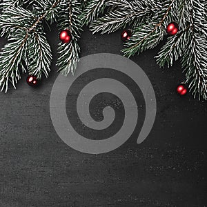 Upper, top, view from above, evergreen branches, tree globes on black square background