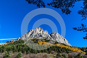   perla da la Valle sul gamba da 