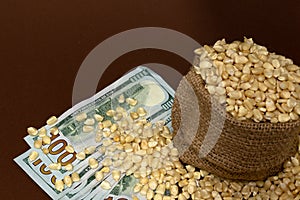 Upper view of a corn sack and one hundred USD bills