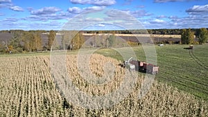 Upper view forager silorator and lorry gather corn