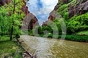 Upper Zion National Park, Utah.